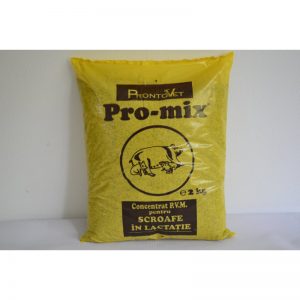 PROMIX SCROAFE IN LACTATIE 29 %