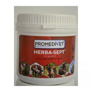 HERBASEPT SIMPLU 400g